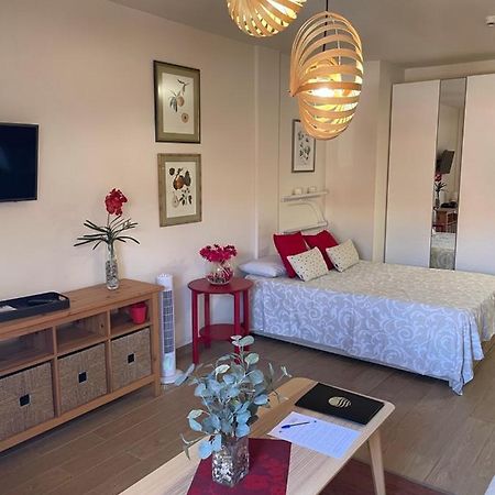 Apartamento Acogedor Y Centrico - Plaza Del Charco Puerto de la Cruz  Exteriör bild